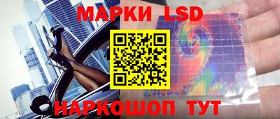 jwh Бийск