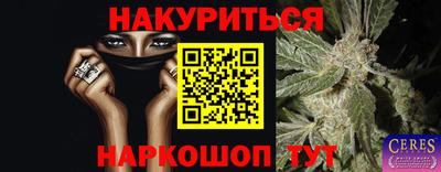 jwh Бийск