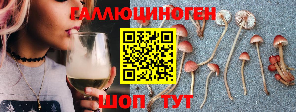 Галлюциногенные грибы Cubensis Ивантеевка