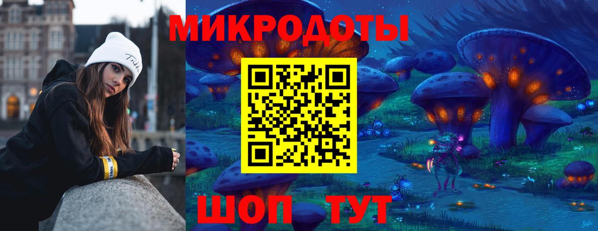 Псилоцибиновые грибы Psilocybe  Вход с VPN  Ивантеевка 